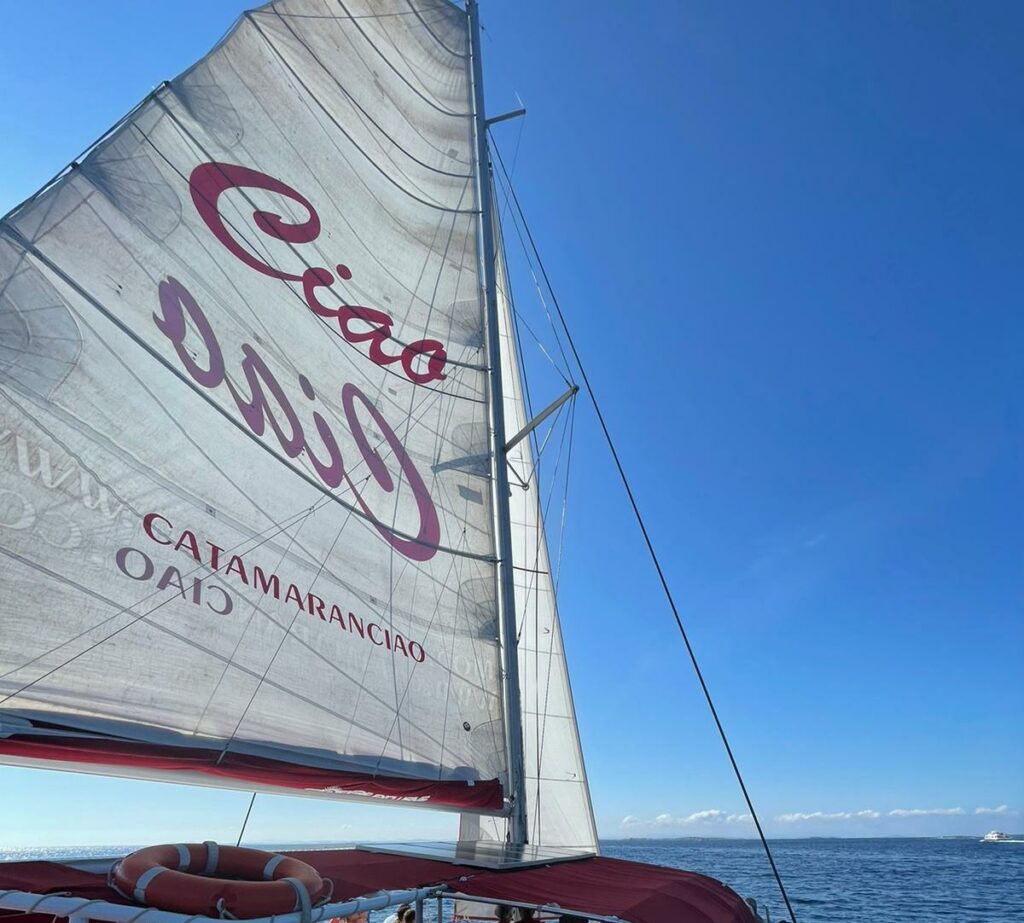 Photo of Ciao and his mainsail.