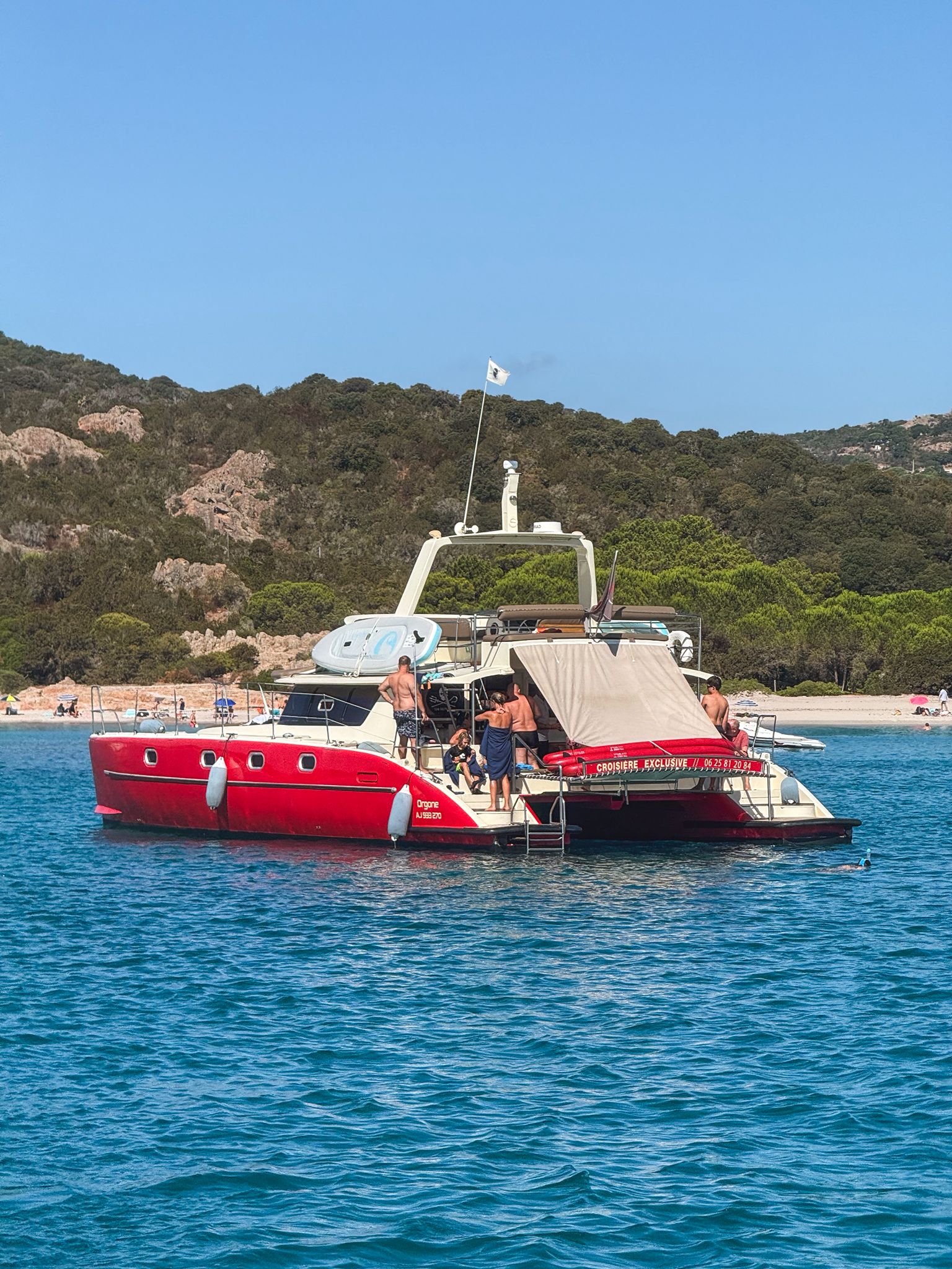 Orgone Rondinara catamaran 1